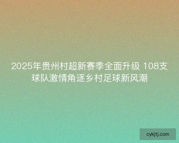 2025年贵州村超新赛季全面升级 108支球队激情角逐乡村足球新风潮
