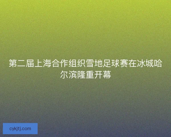 第二届上海合作组织雪地足球赛在冰城哈尔滨隆重开幕
