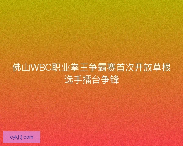 佛山WBC职业拳王争霸赛首次开放草根选手擂台争锋